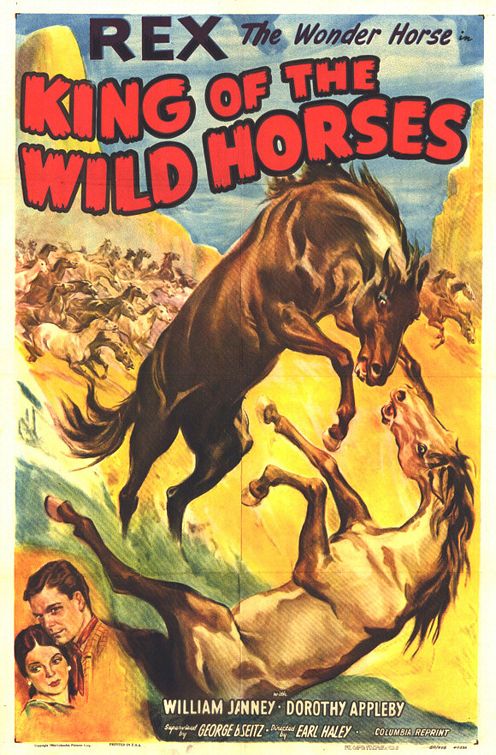 The King of the Wild Horses afişi