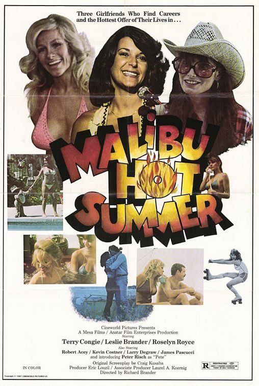 Malibu Hot Summer afişi