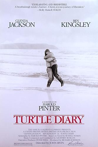 Turtle Diary afişi