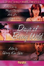 Days of Being Wild afişi