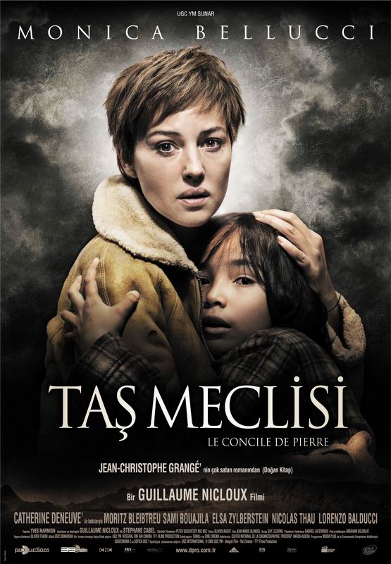 Taş Meclisi afişi