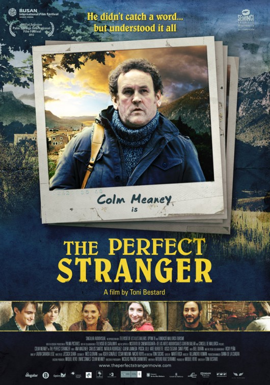 The Perfect Stranger afişi