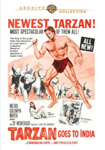 Tarzan Hindistan'da afişi