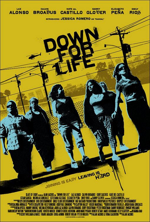 Down for Life afişi