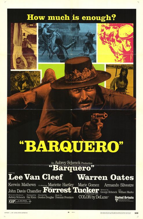Barquero afişi