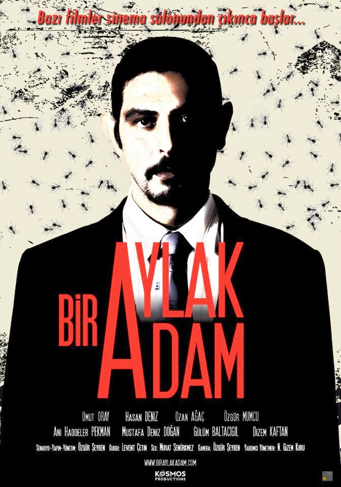 Bir Aylak Adam afişi