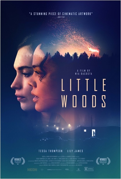 Little Woods afişi