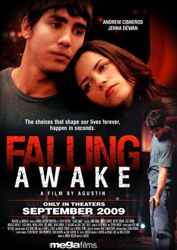 Falling Awake afişi