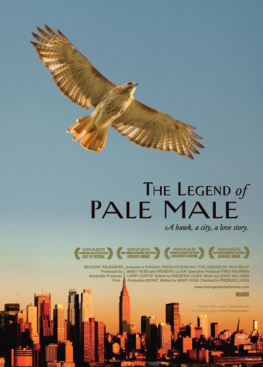 The Legend of Pale Male afişi
