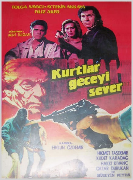 Kurtlar Geceyi Sever afişi