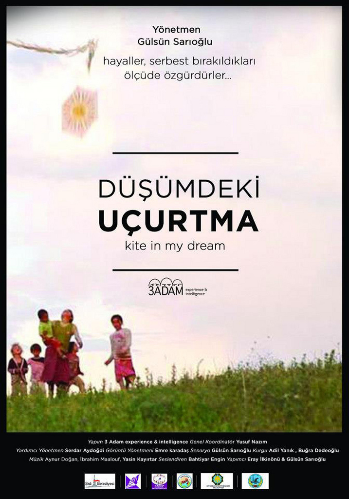 Düşümdeki Uçurtma afişi