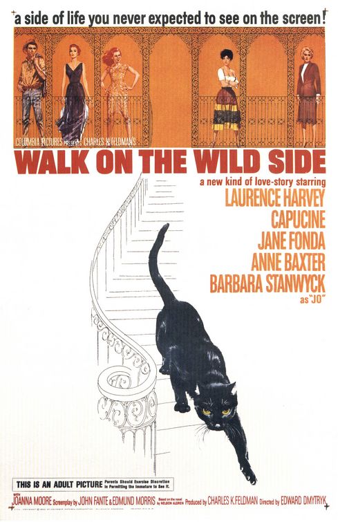 Walk On The Wild Side afişi