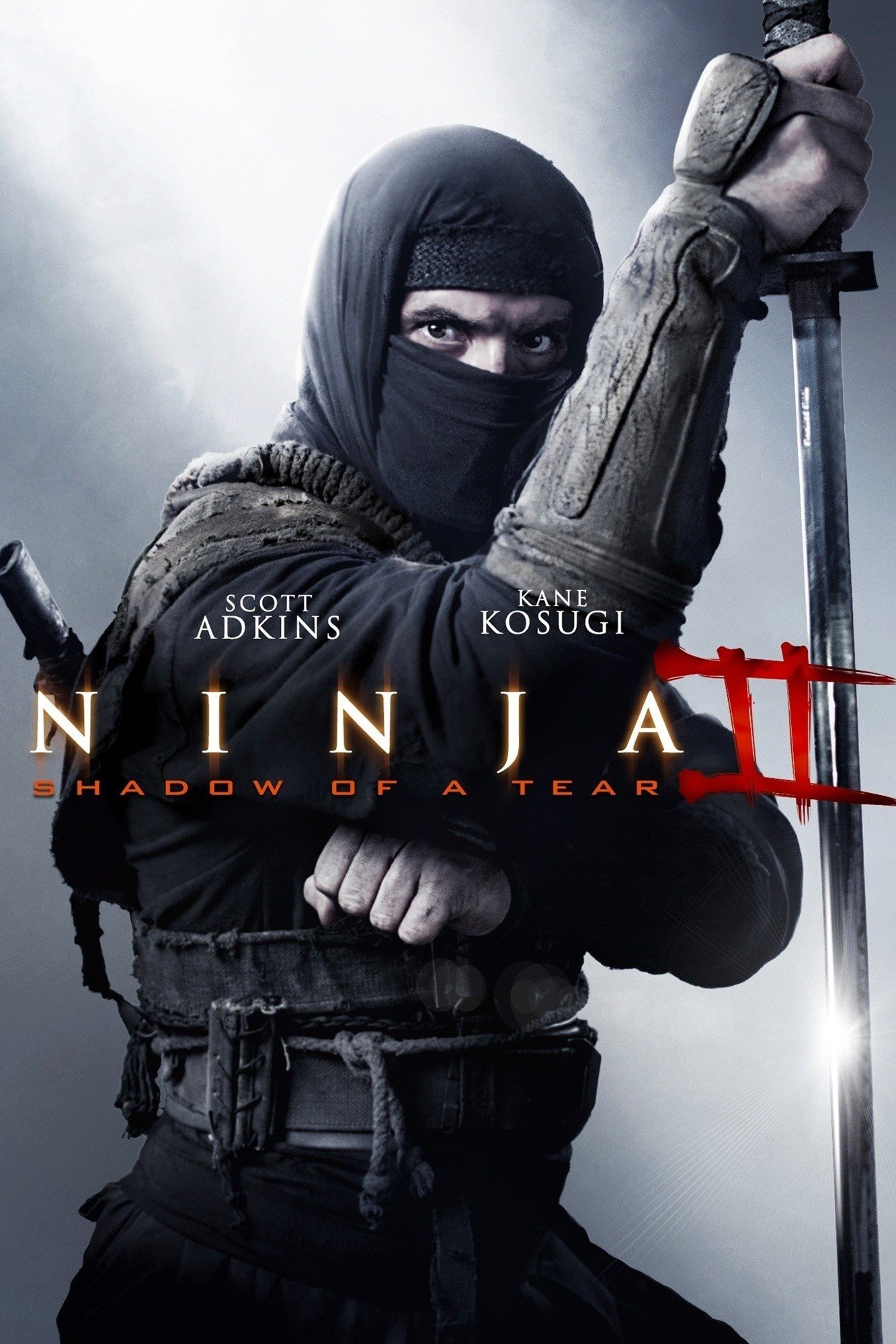 Ninja: Shadow of a Tear afişi
