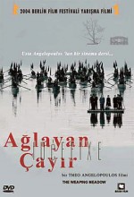 Ağlayan Çayır afişi