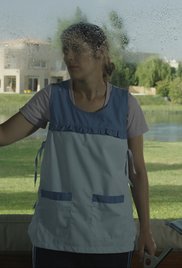 Los decentes afişi
