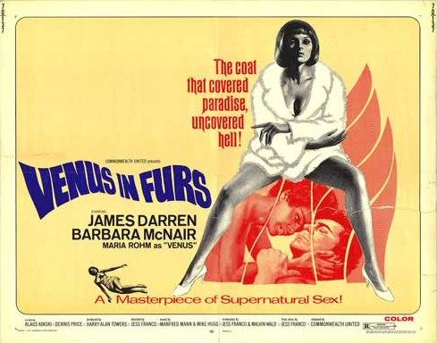 Venus in Furs afişi