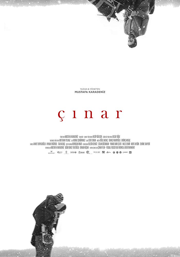 Çınar afişi