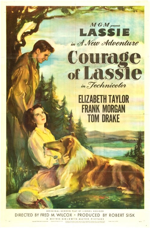 Courage Of Lassie afişi