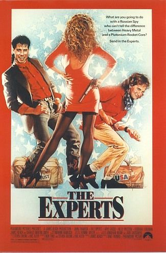The Experts afişi