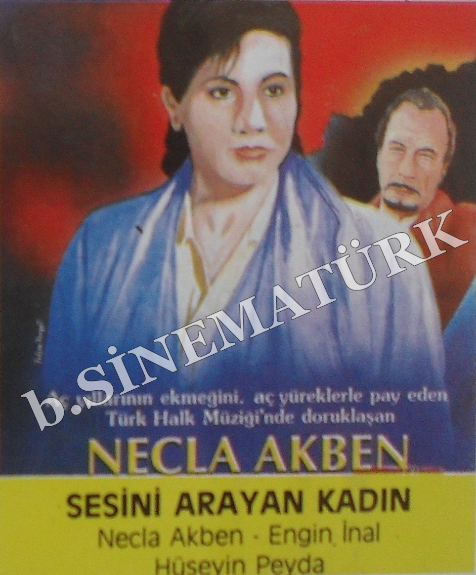 Sesini Arayan Kadın / Ninni Bebek afişi