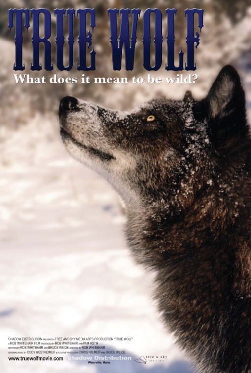 True Wolf afişi