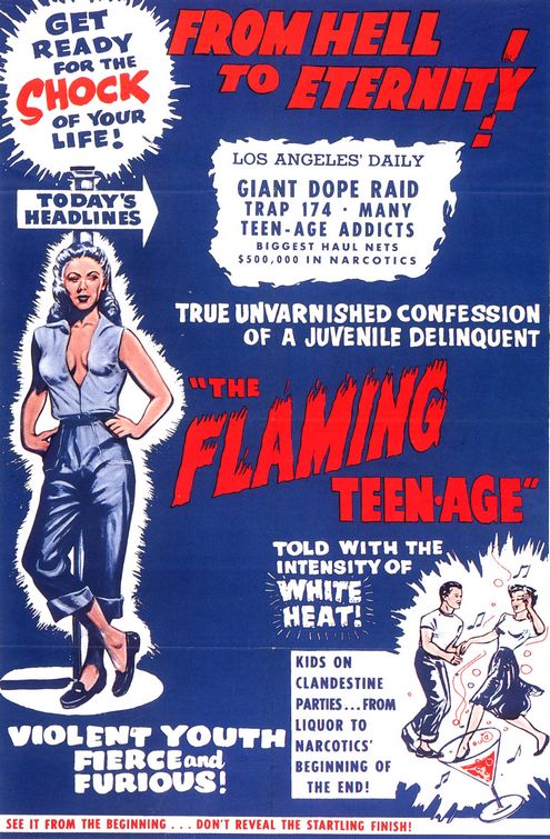 The Flaming Teenage afişi