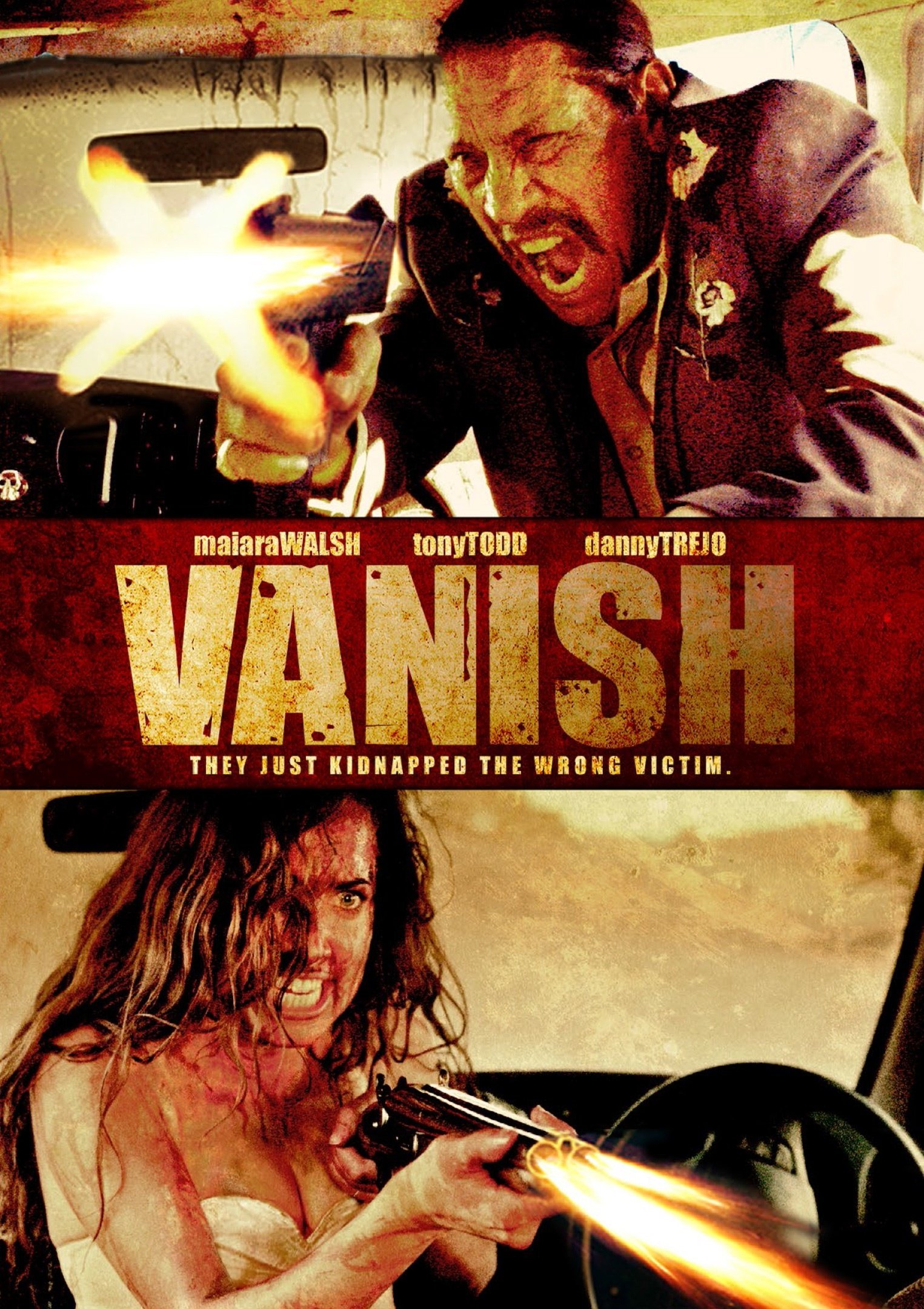 VANish afişi
