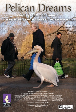 Pelican Dreams afişi