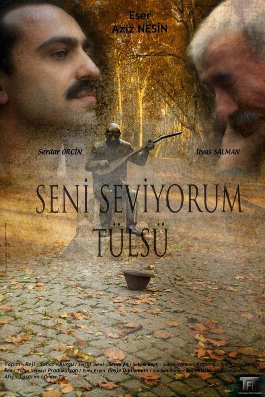 Seni Seviyorum Tülsü afişi
