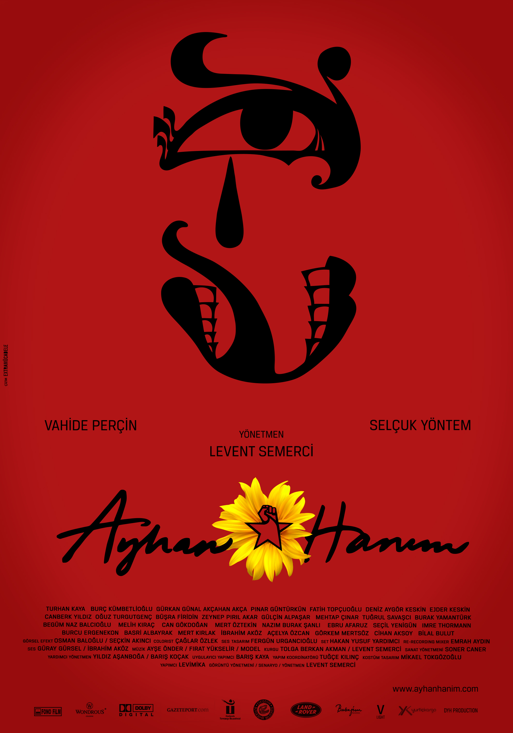 Ayhan Hanım afişi
