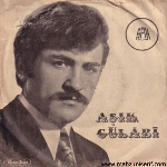 Aşık Gülabi