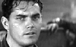 Dewey Martin
