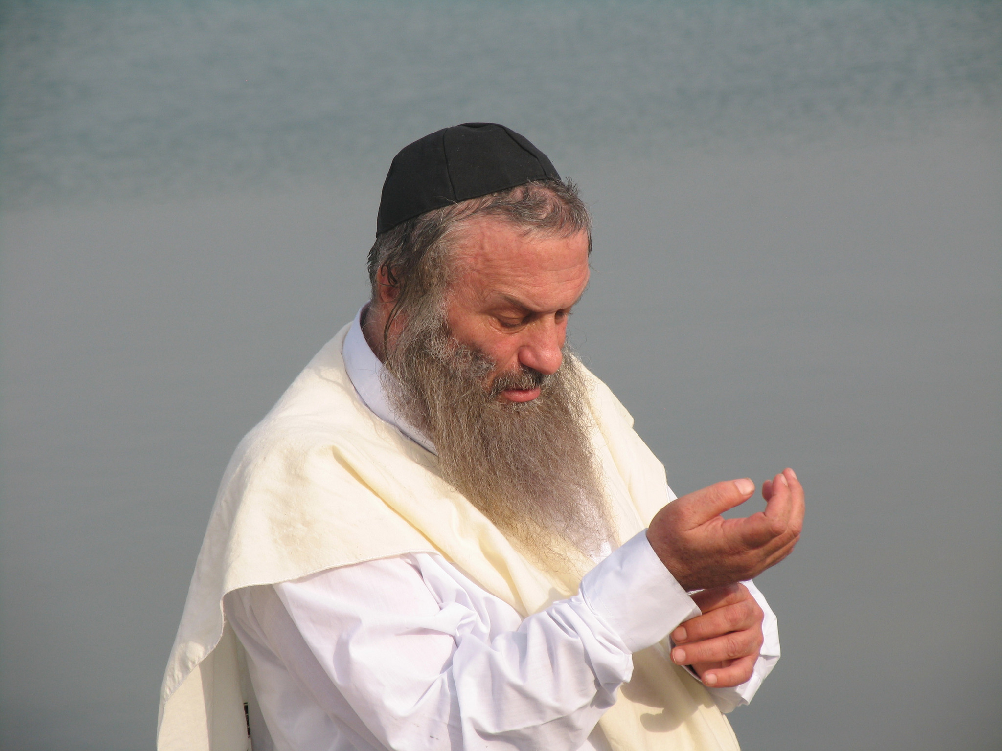 Assi Dayan
