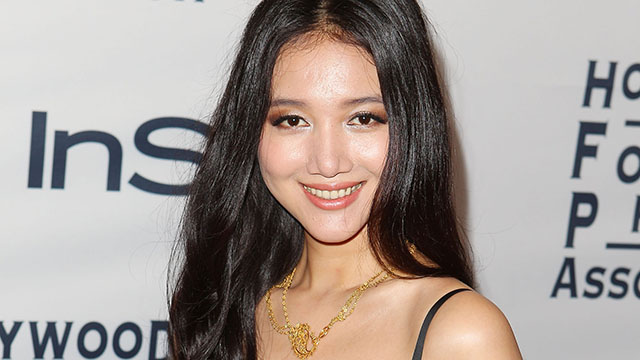 Wenwen Han
