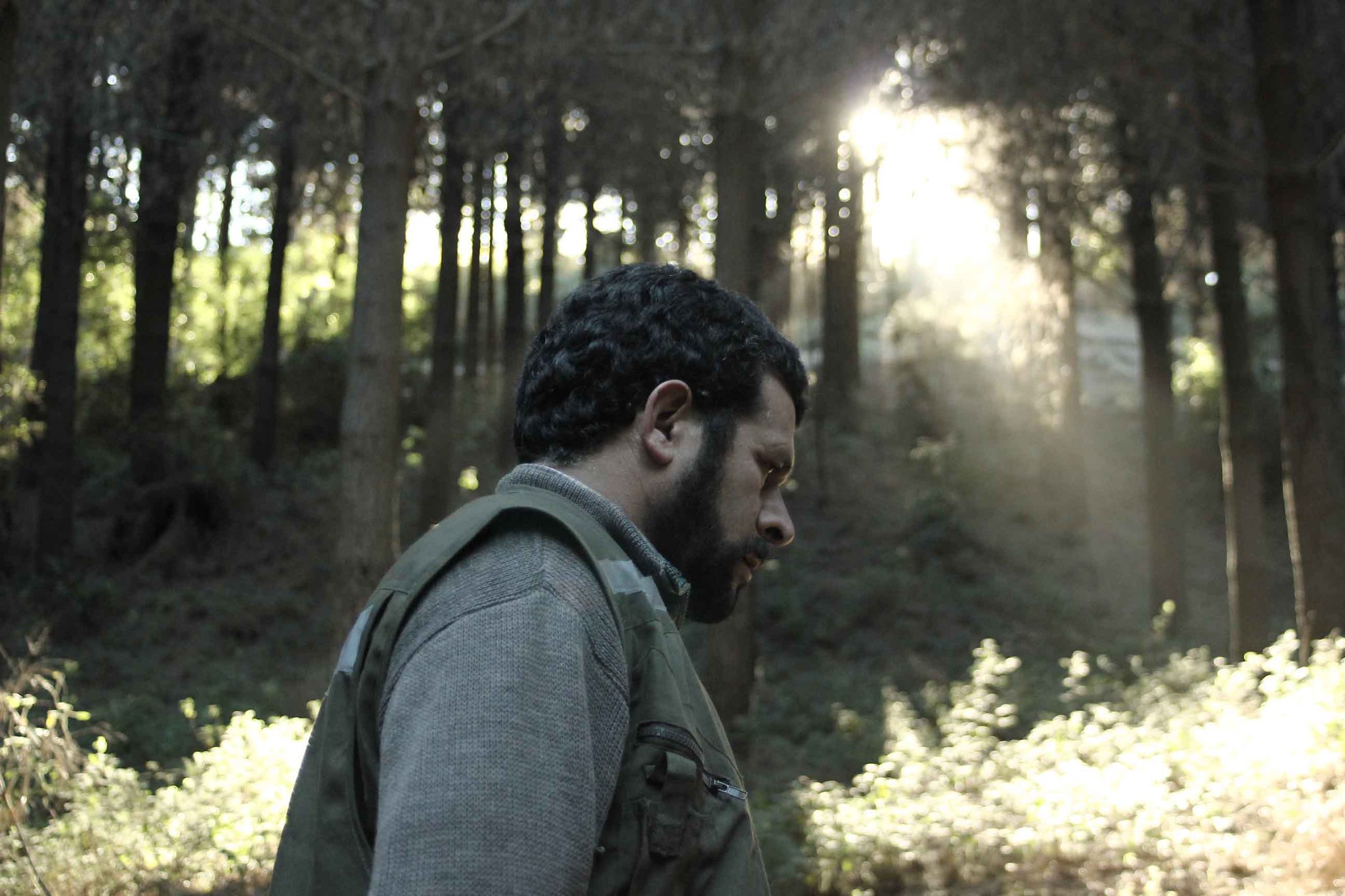 Alejandro Fernandez Almendras