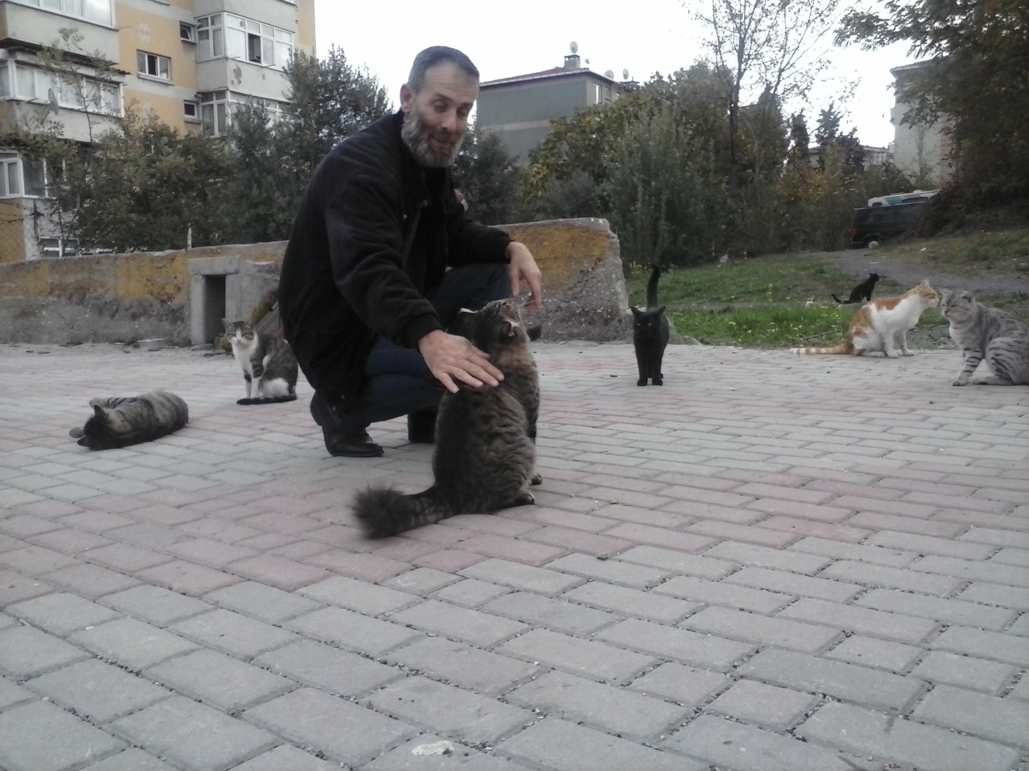 Mustafa Seyhan