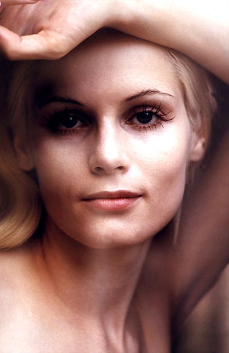 Vicki Peters