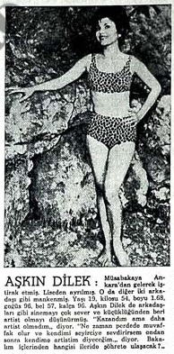 Aşkın Dilek