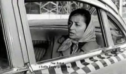 Selma Erkut