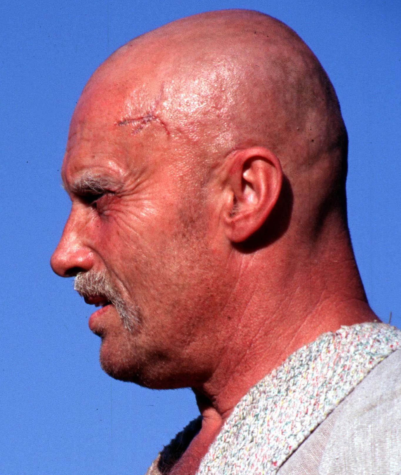 Daniel Olbrychski