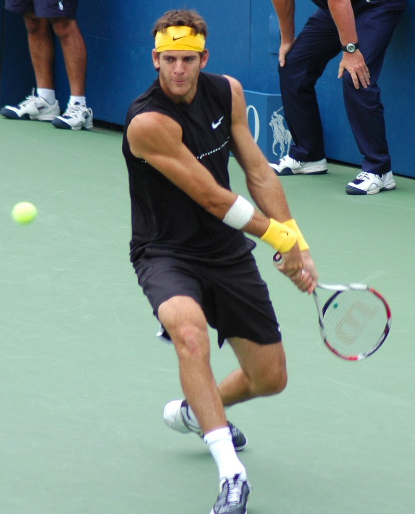 Juan Martin del Potro