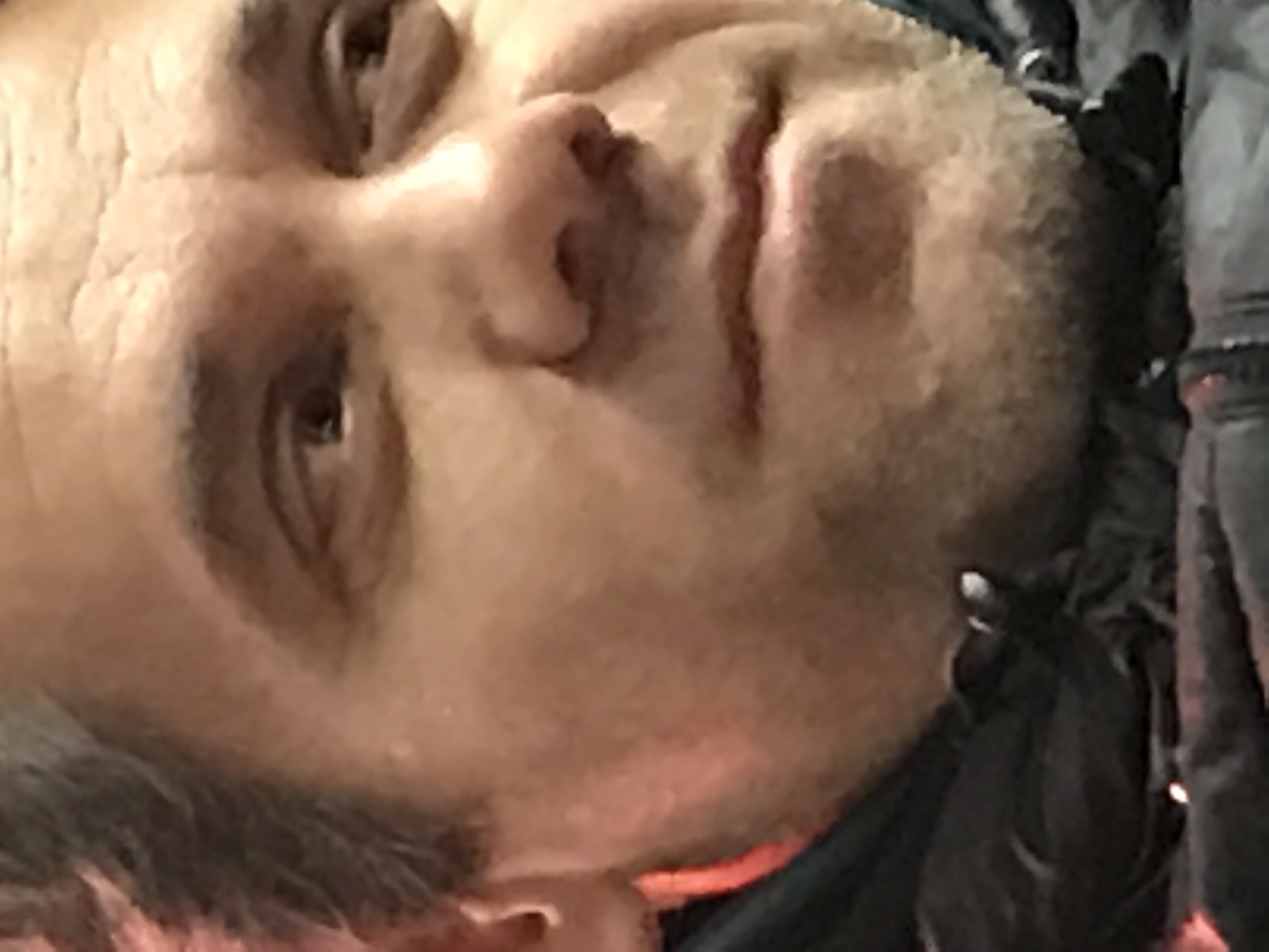 Barış Sengelli